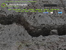 Tablet Screenshot of biodiversityphotography.org
